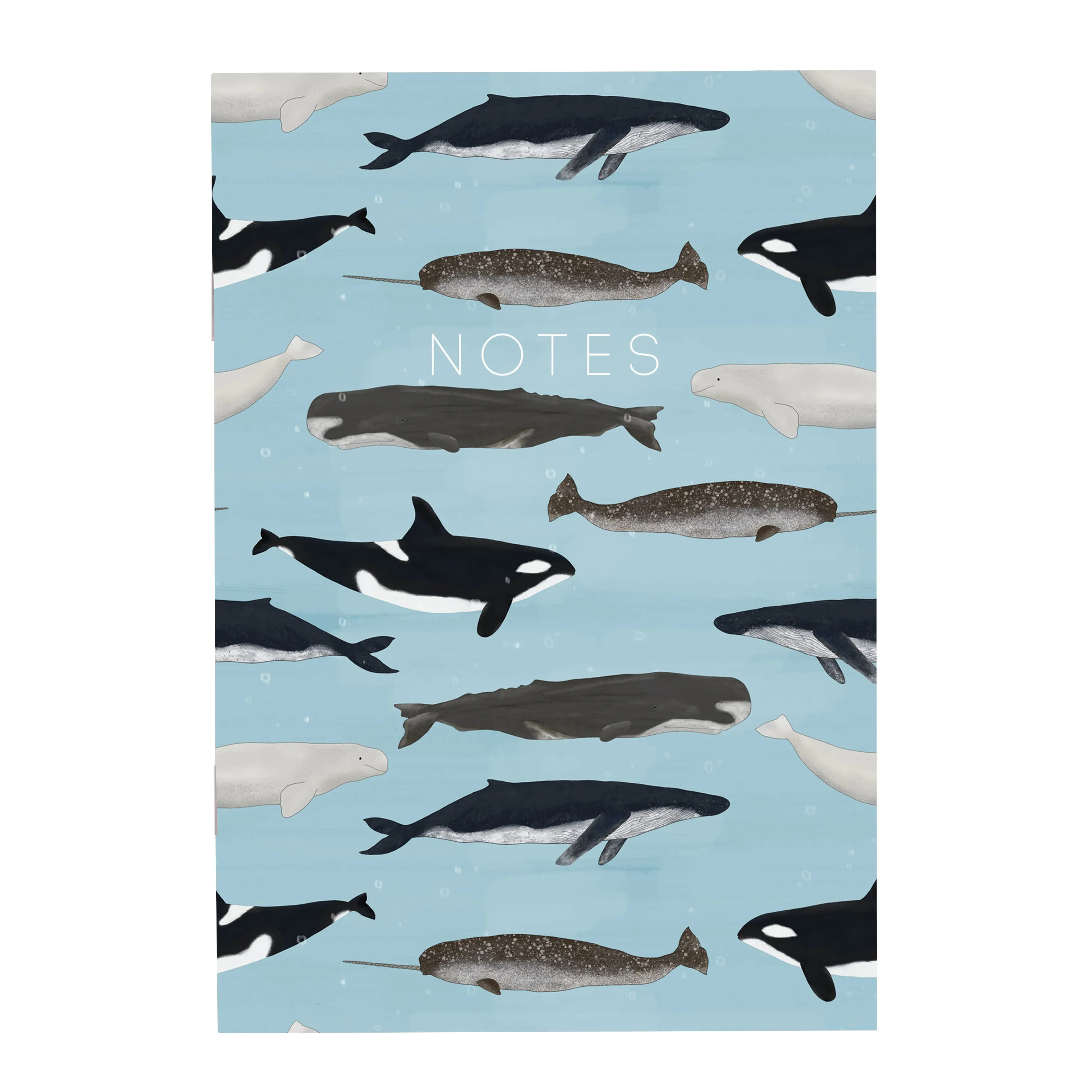 Whales - A5 Notebook